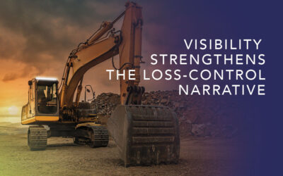 Visibility Strengthens the Loss-Control Narrative